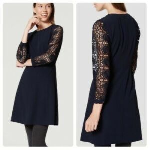 Loft Navy Shift Dress with Lace Sleeves